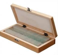 CAJA HISTOLOGICA  MADERA PARA    50 PORTAOBJETOS