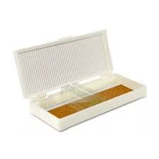 CAJA HISTOLOGICA PLASTICA PARA  50 PORTAOBJETOS