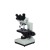 MICROSCOPIO TRINOCULAR XSZ 107 BNT LED