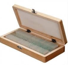 CAJA HISTOLOGICA  MADERA PARA    50 PORTAOBJETOS